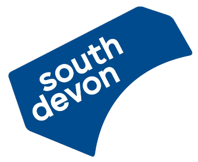 VSD Logo Blue RGB